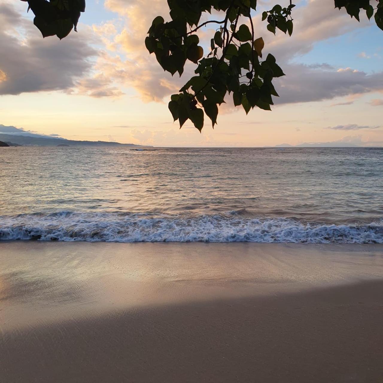 Appartement De La Baie, Vue Magnifique, Tartane ラ・トリニテ エクステリア 写真